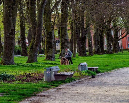 A relaxed walk through a local neighborhood park